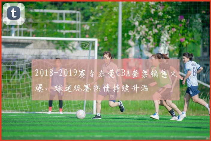 2018-2019赛季东莞CBA套票销售火爆，球迷观赛热情持续升温